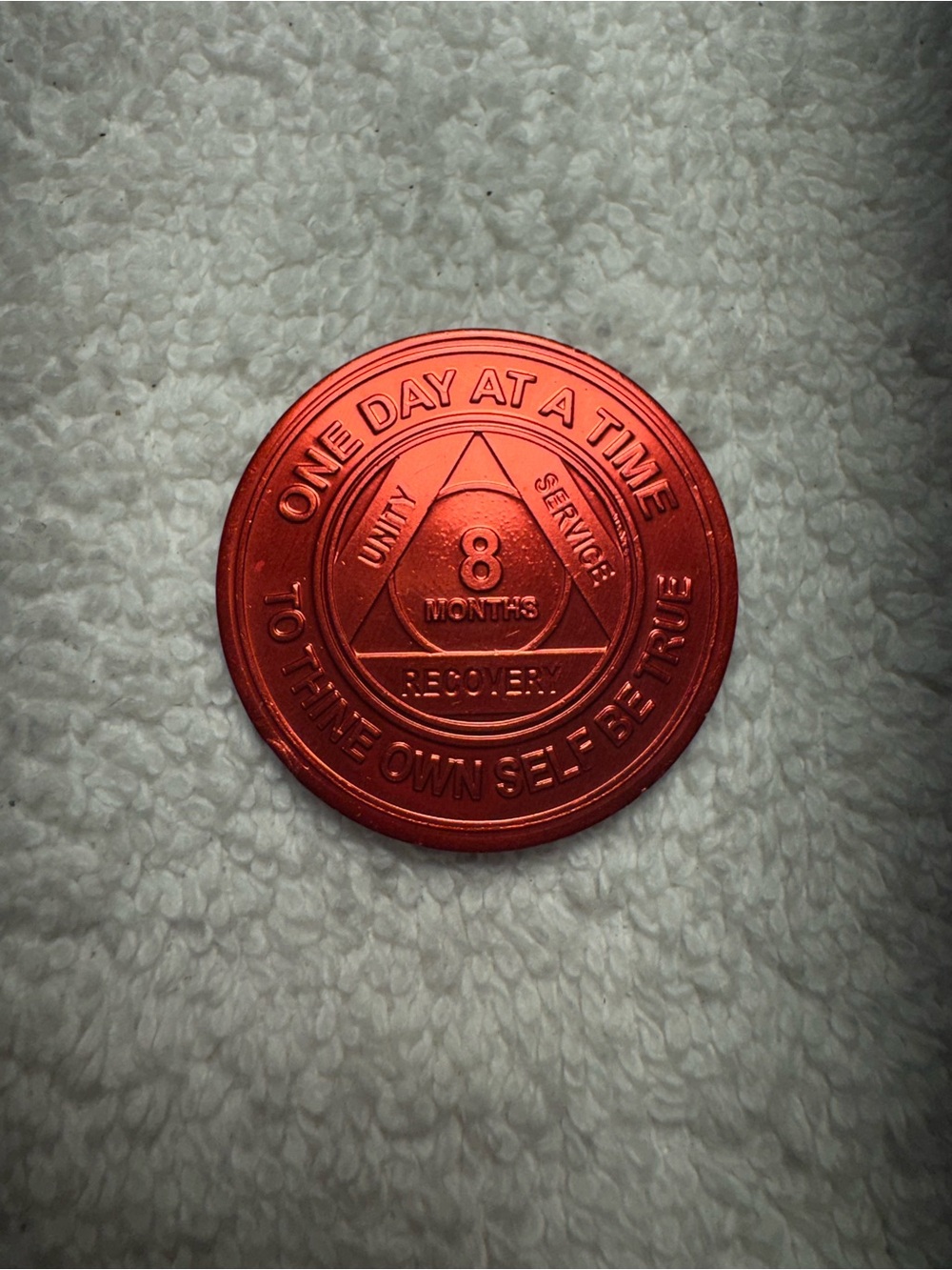8 Months Recovery Alcoholics Anonymous AA
Sobriety Silver Metal Token